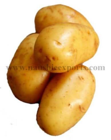 Offer To Sell Potatoes